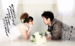 8580.gif
