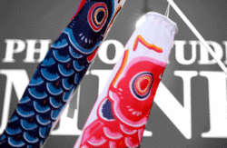 koinobori.gif